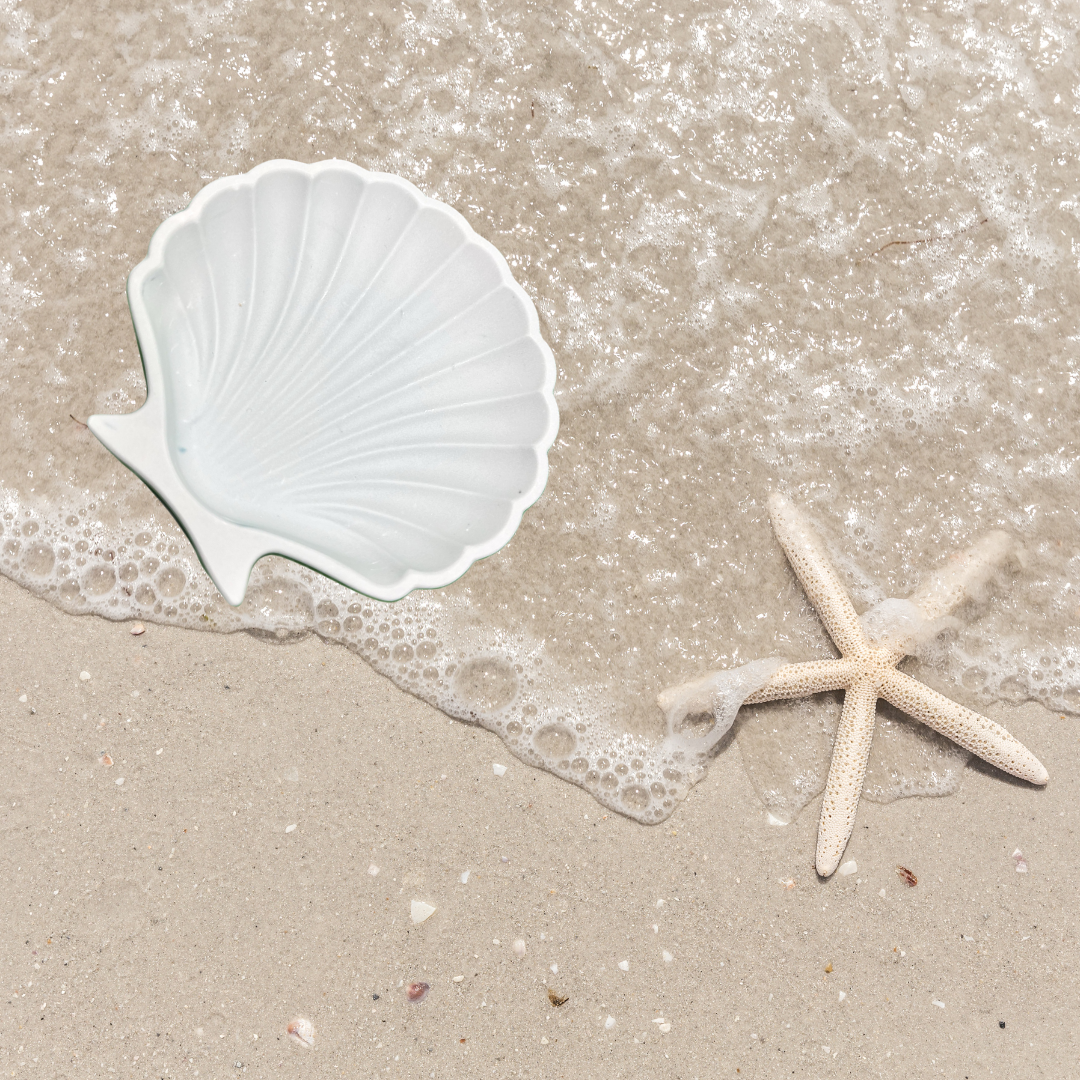 Ceramic Shell White