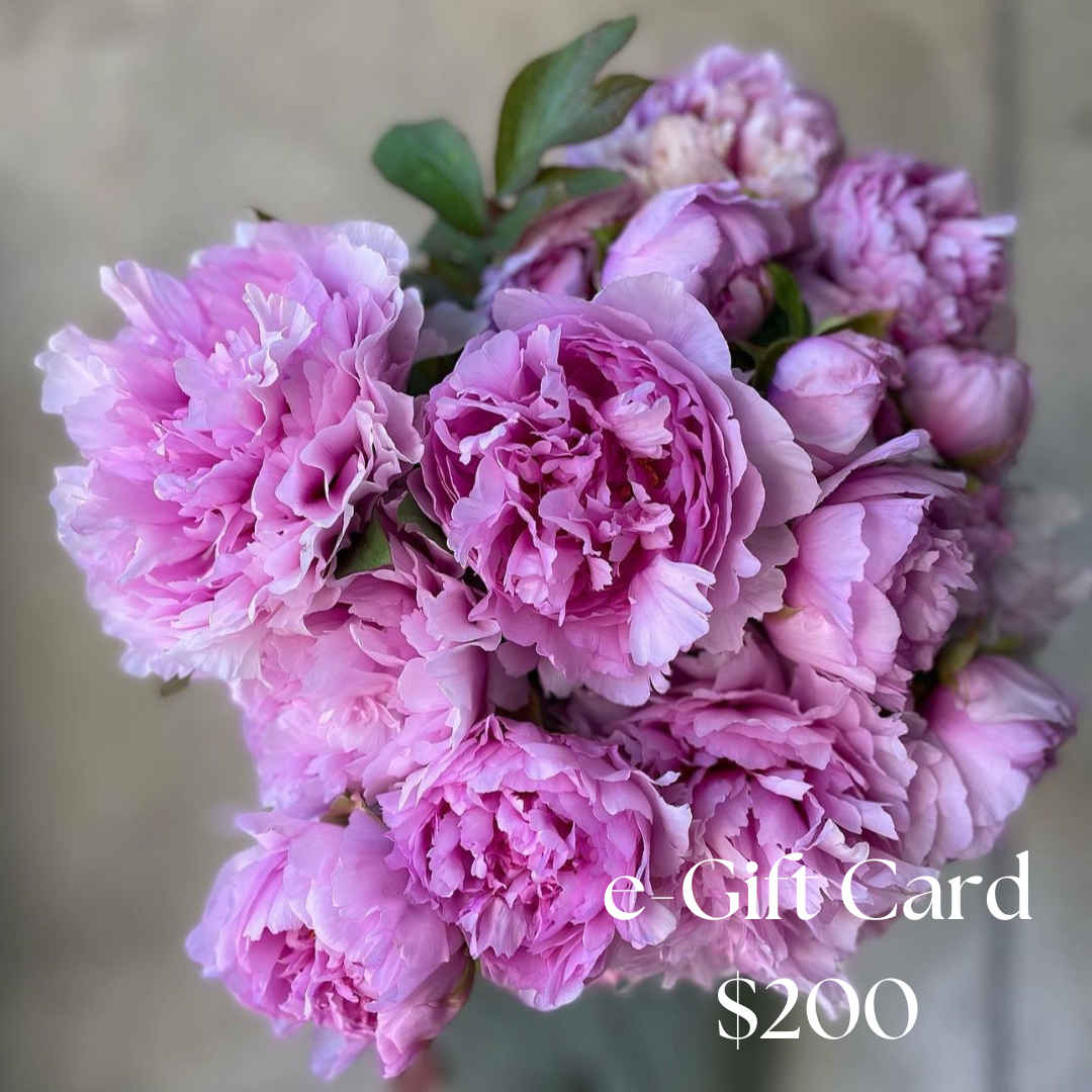 Thalassea e-Gift Card