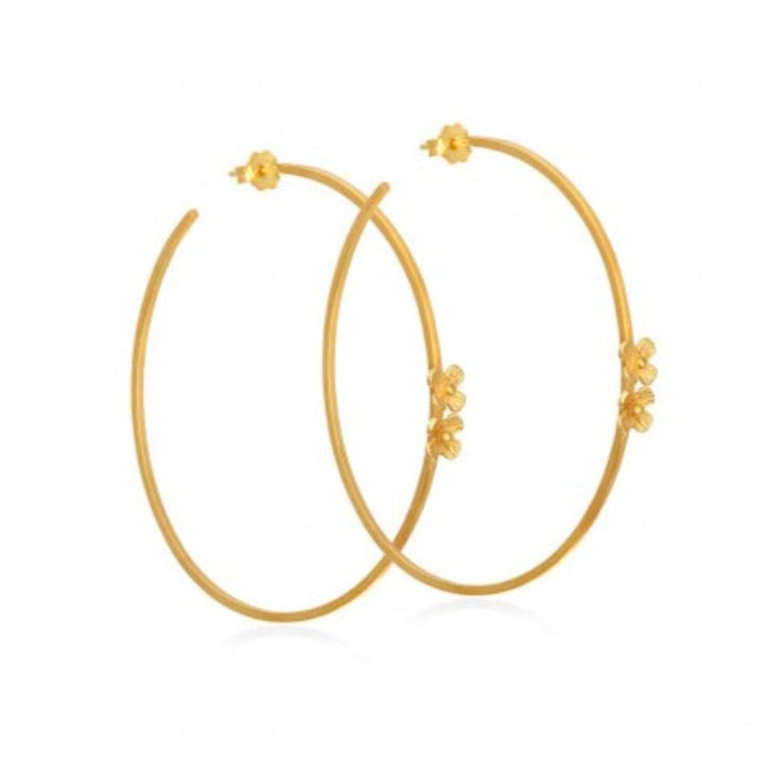 Hoop Earrings 24K