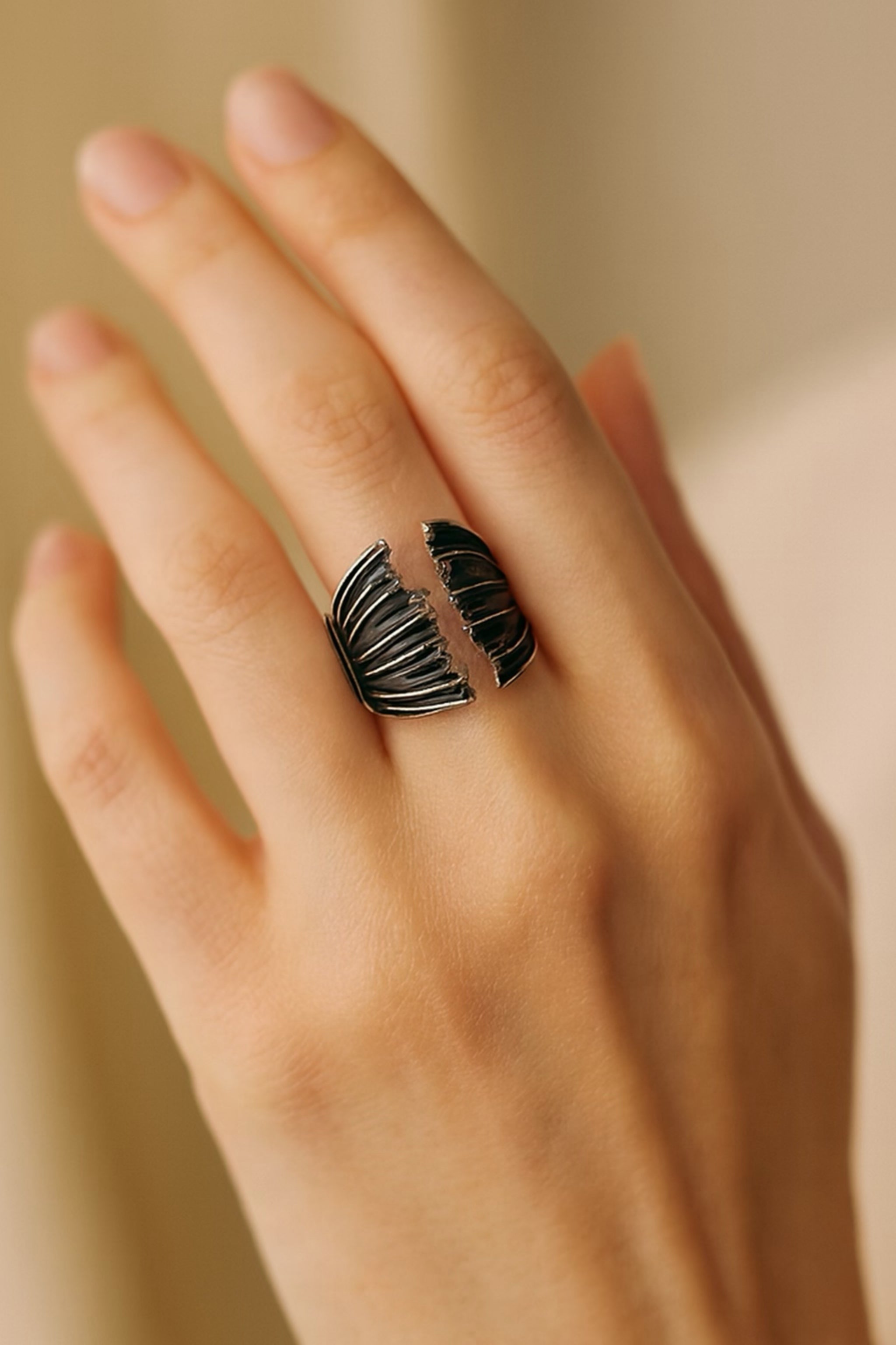 Hand wearing a black and silver ring on a neutral background