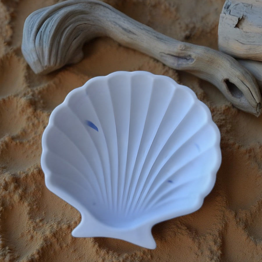 White shell-shaped object on sandy surface with driftwood
