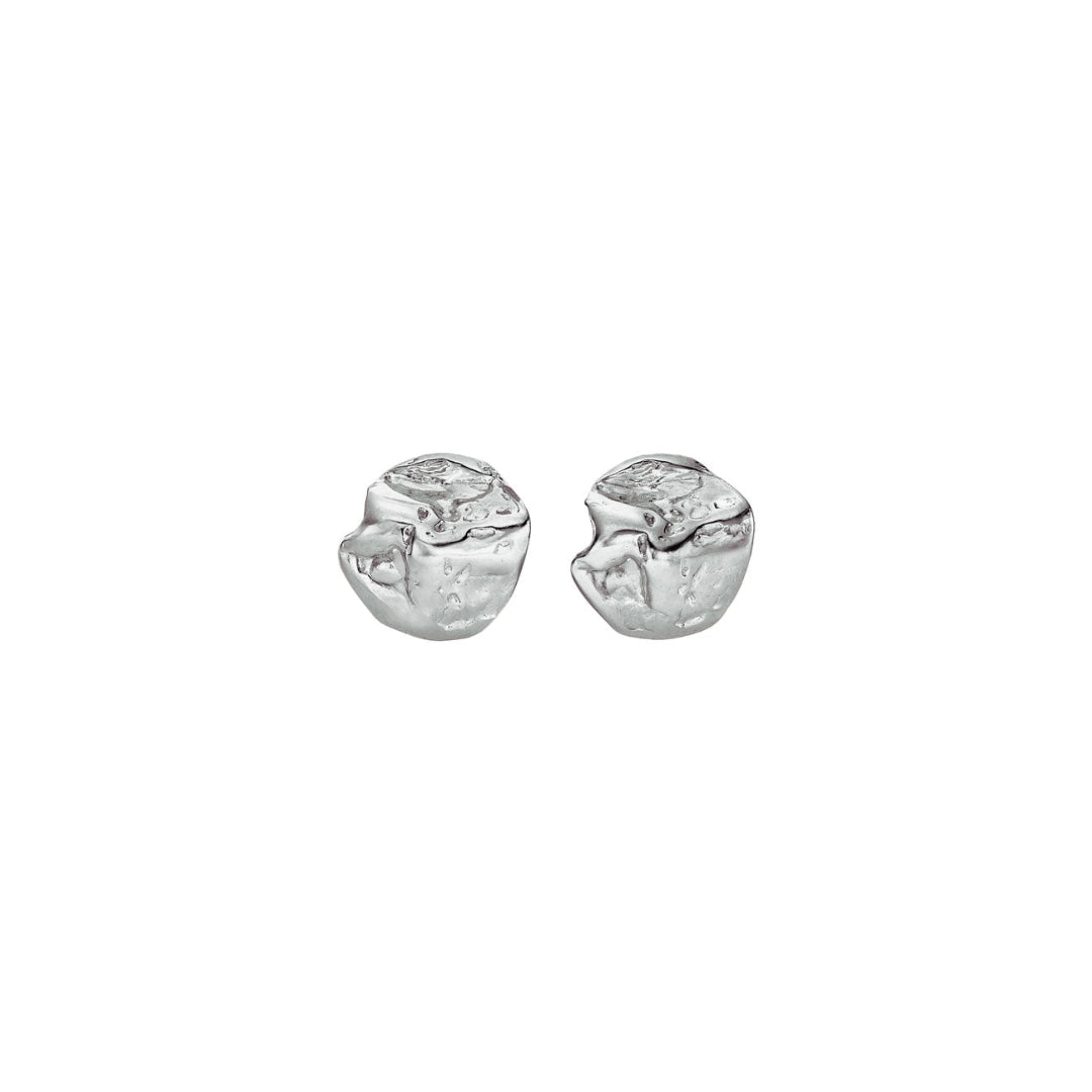 Pair of silver earrings on a white background